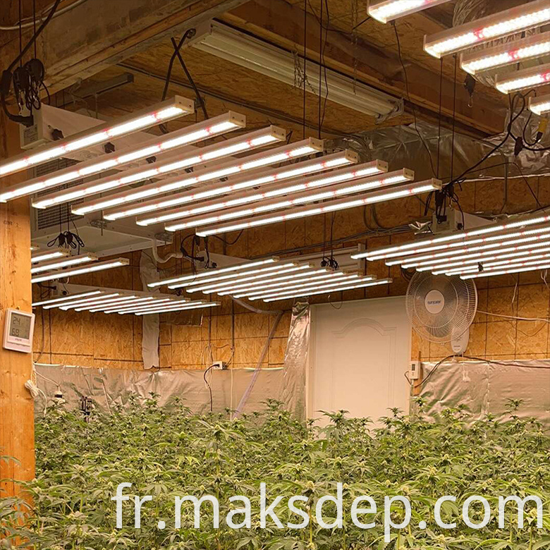 4x8 grow lights